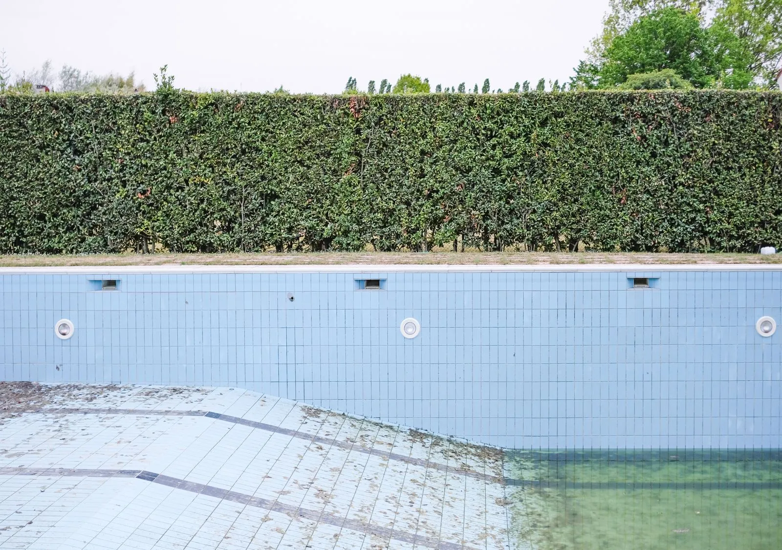 An empty swimming pool with overgrown hedge, symbolizing neglect and abandonment.
